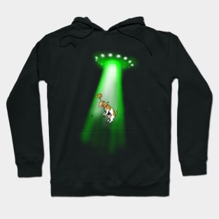 Cattle Rustlers... FROM SPACE!!! Hoodie